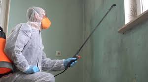 Best Mold Prevention Services  in Tuolumne City, CA